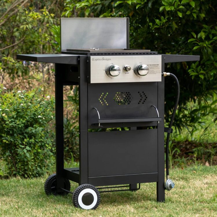 Sophia & William 2-Burner Gas Grill and Griddle Combo