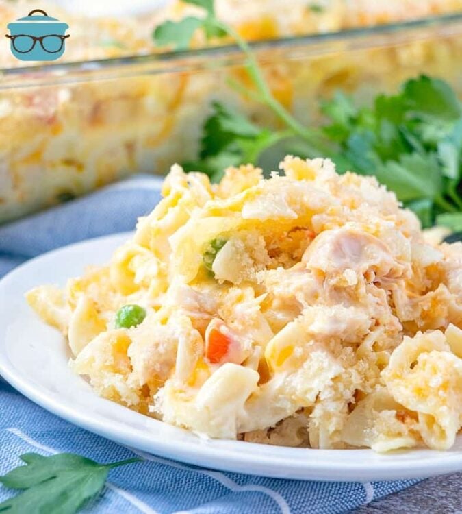 Easy Chicken Noodle Casserole served on a white plate with parsley.
