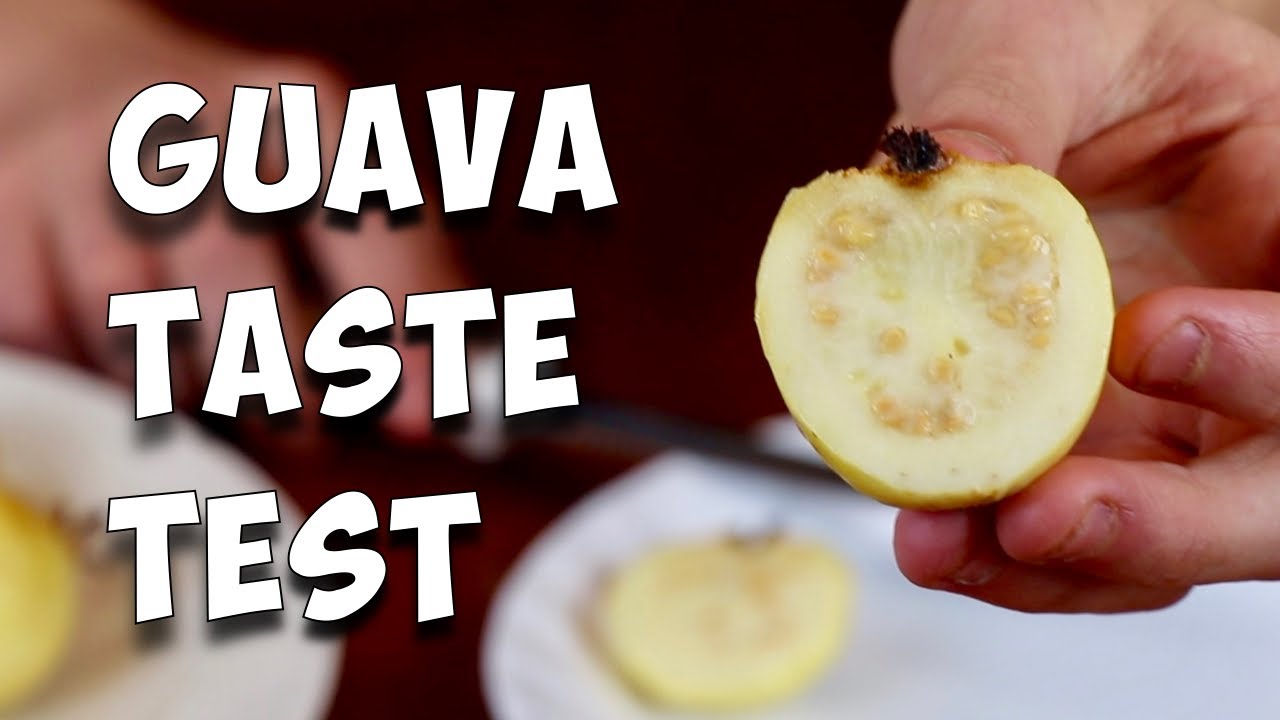 GUAVA TASTE TEST